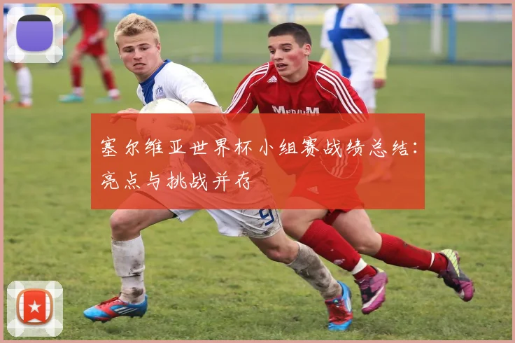 塞尔维亚世界杯小组赛战绩总结：亮点与挑战并存