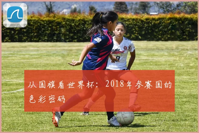 从国旗看世界杯：2018年参赛国的色彩密码