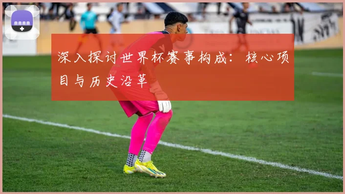 深入探讨世界杯赛事构成：核心项目与历史沿革