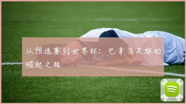 从预选赛到世界杯：巴拿马足球的崛起之路