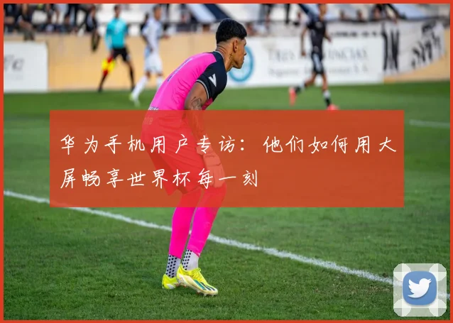 华为手机用户专访：他们如何用大屏畅享世界杯每一刻