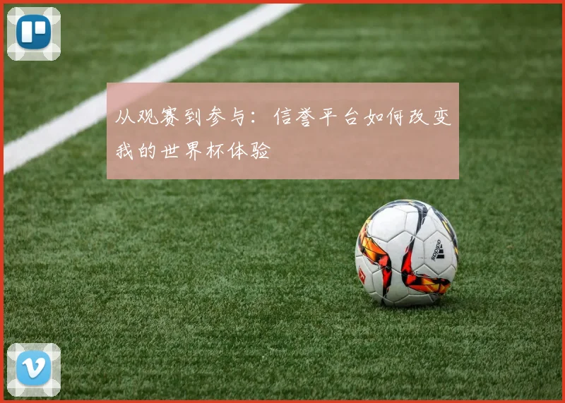 从观赛到参与：信誉平台如何改变我的世界杯体验