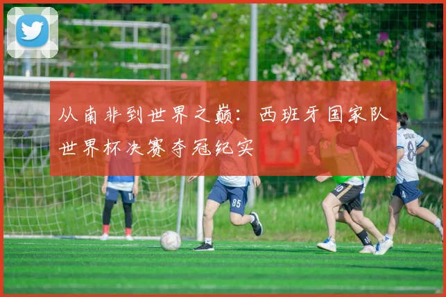 从南非到世界之巅：西班牙国家队世界杯决赛夺冠纪实