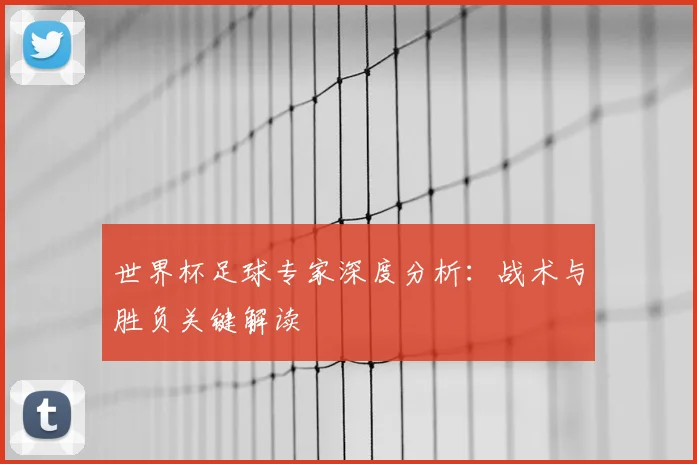 世界杯足球专家深度分析：战术与胜负关键解读