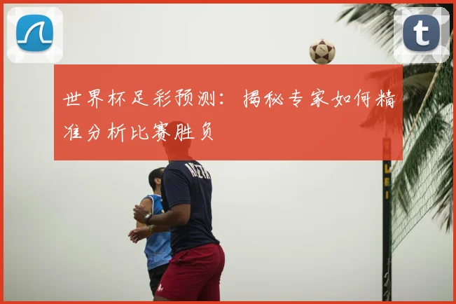 世界杯足彩预测：揭秘专家如何精准分析比赛胜负