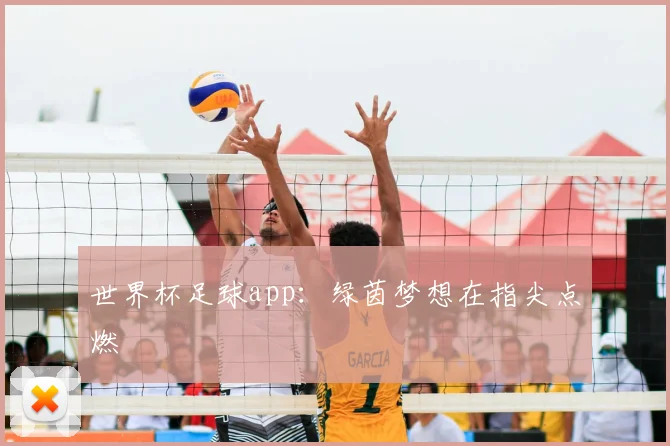 世界杯足球app：绿茵梦想在指尖点燃