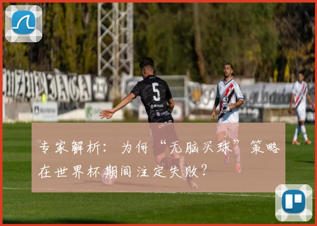 专家解析:为何“无脑买球”策略在世界杯期间注定失败?