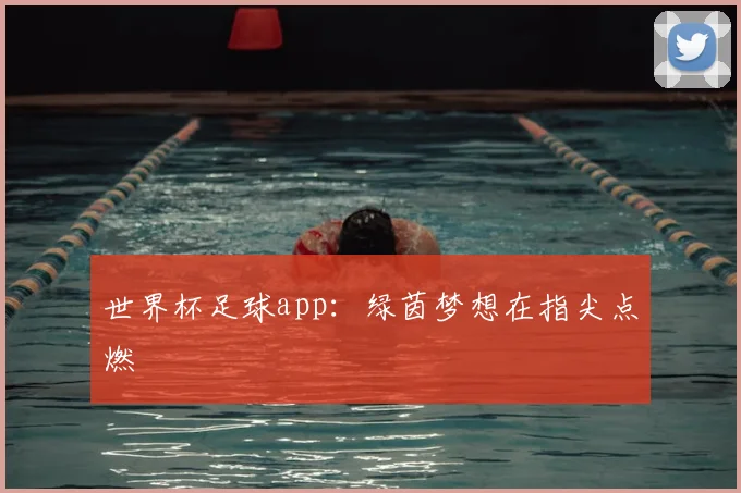 世界杯足球app：绿茵梦想在指尖点燃