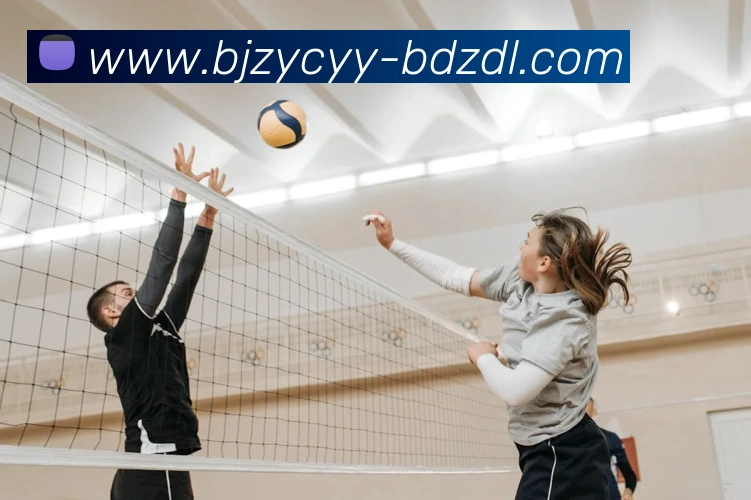 多媒体互动体验