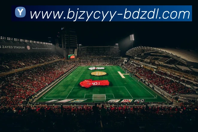 开云手机在线登录官网APP 高清赛事图